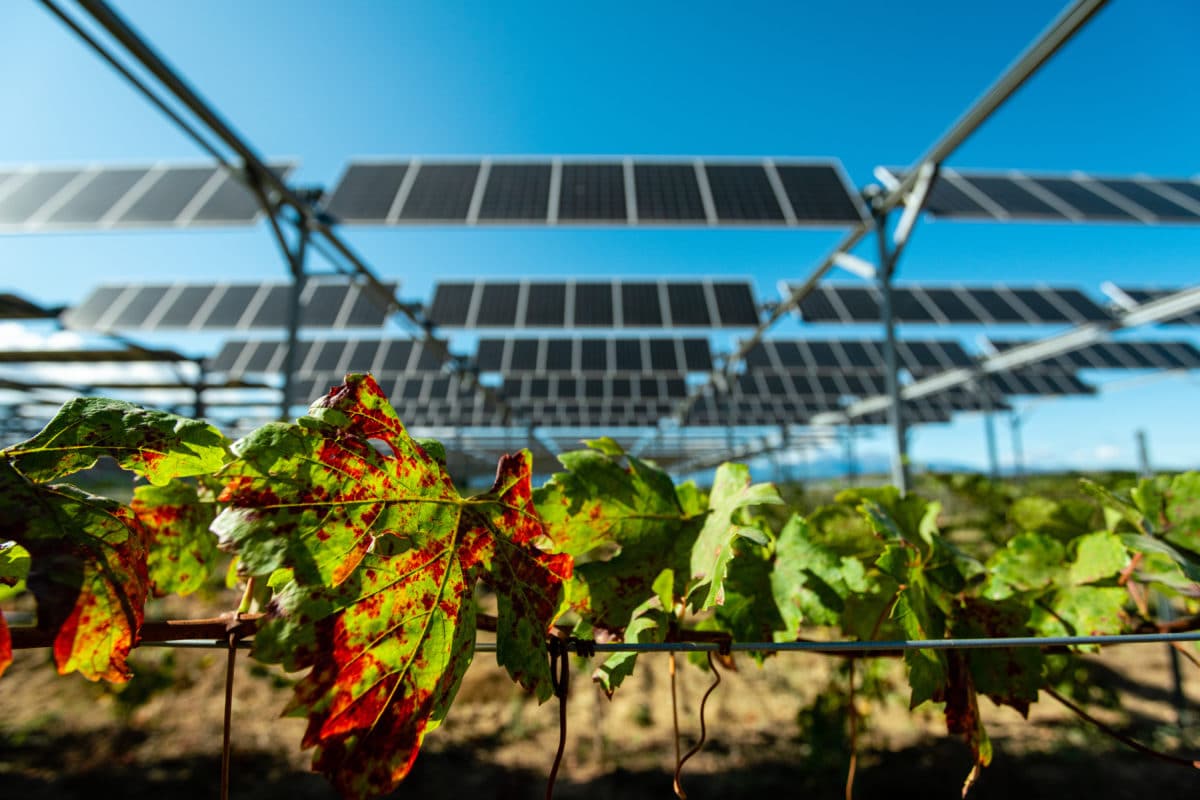 Conclusions de la mission de l’Assemblée nationale sur l’agrivoltaïsme