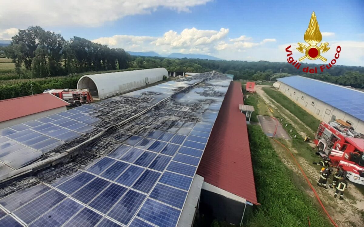 Allevamento avicolo dotato di pannelli fotovoltaici distrutto da un incendio in Italia – PV Magazine International