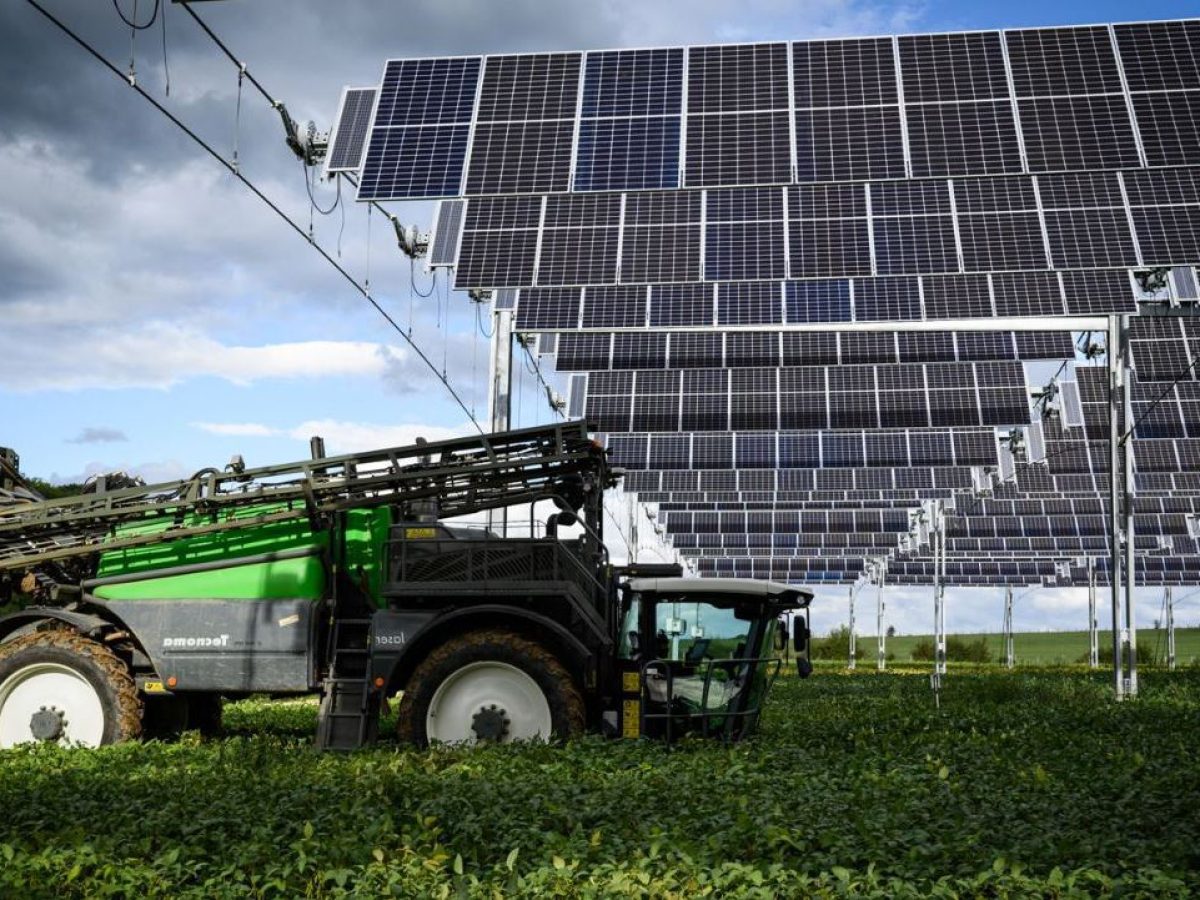 Financement de panneaux photovoltaïques sur exploitation agricole